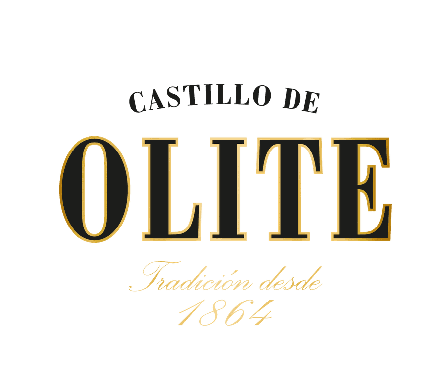 Castillo de Olite
